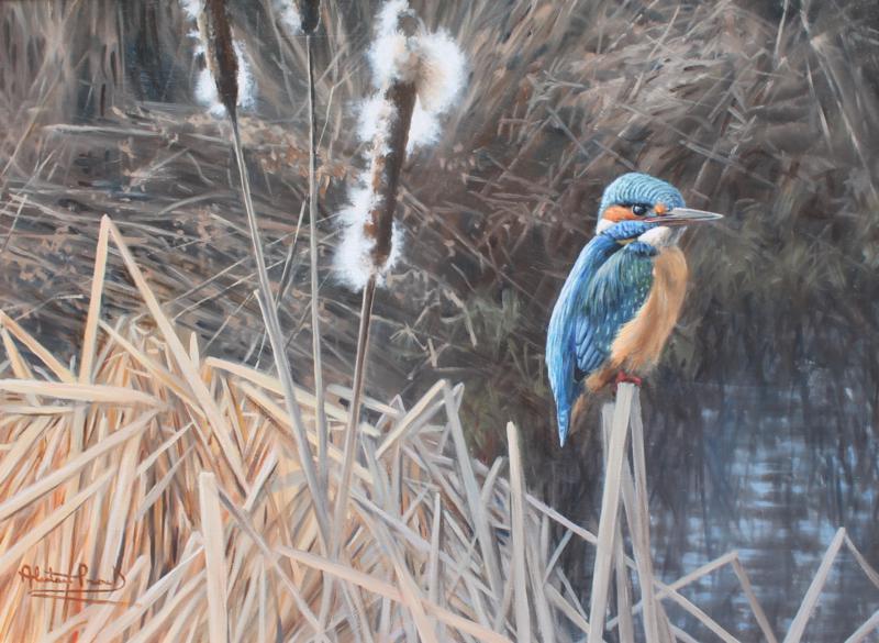 Alastair Proud - At the waters edge, kingfisher