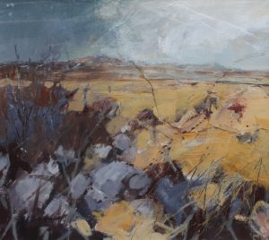 Jan Gregson - Carn Lleithr across moorland