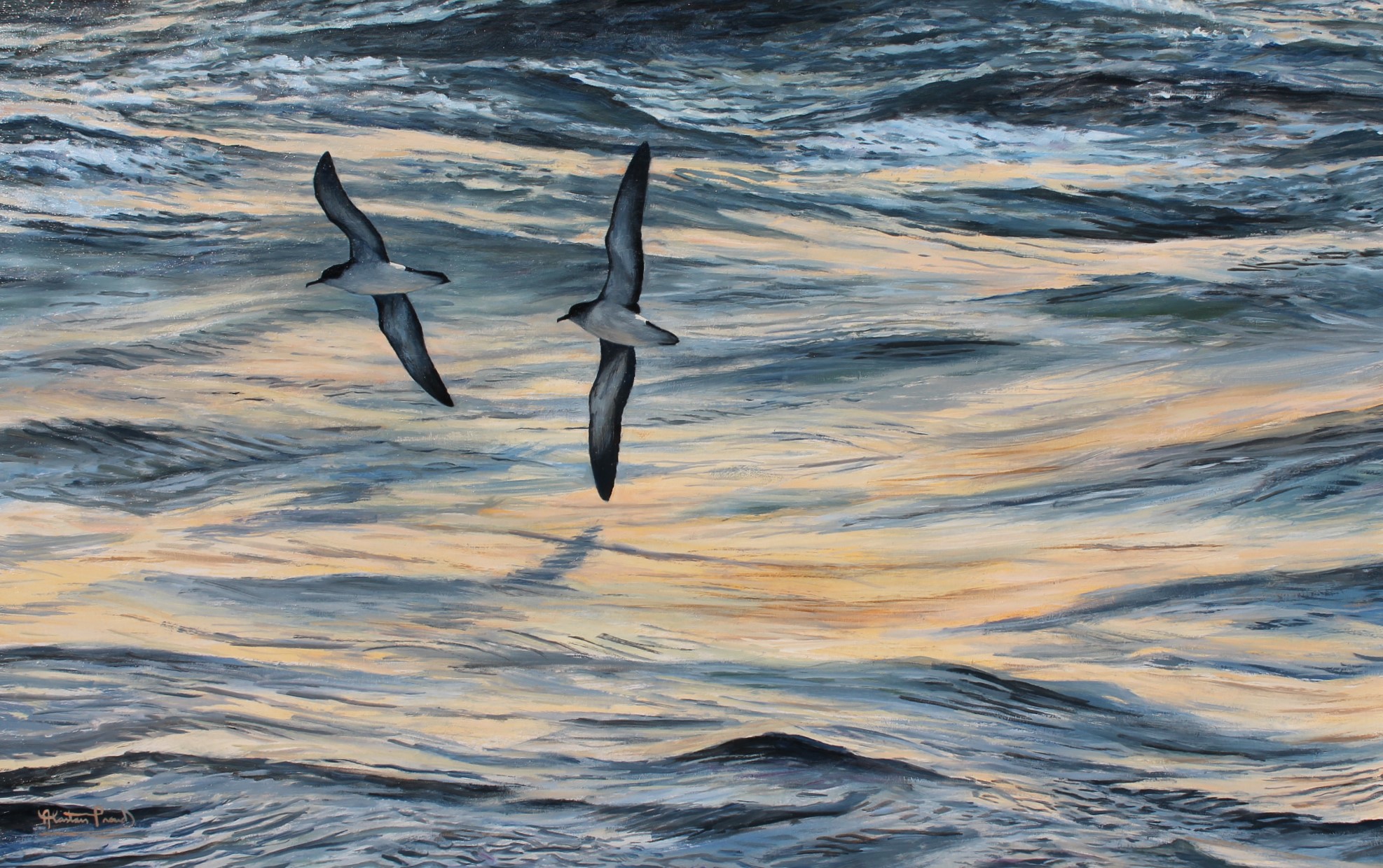 Alastair Proud - Tranquil Seas and Shearwaters