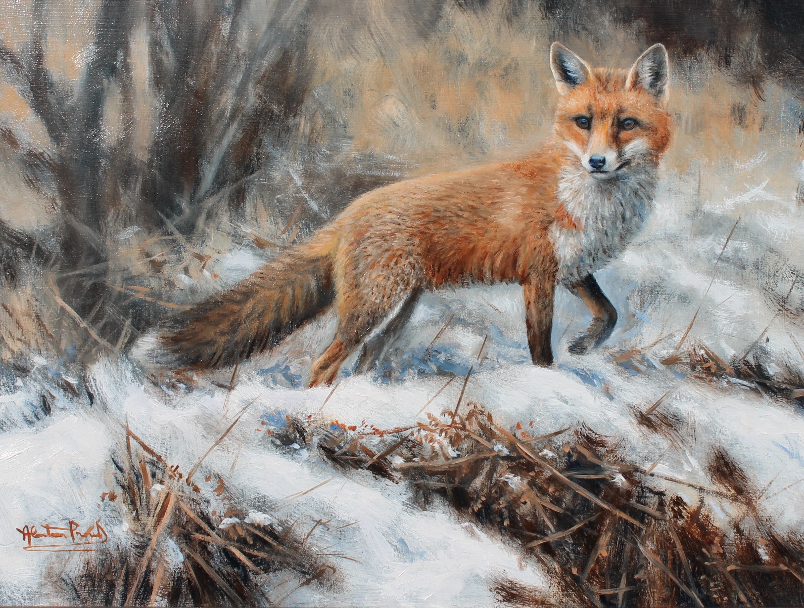 Alastair Proud - Winter Fox, Preselis