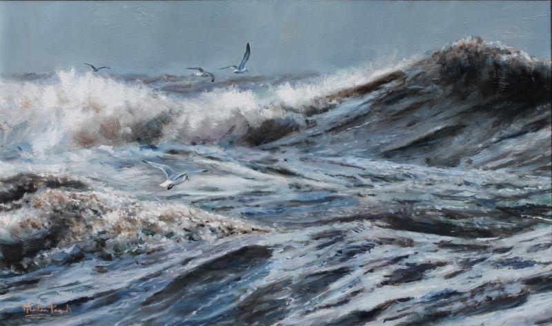 Alastair Proud - Kittiwake and Gulls feeding in the surf_800x472