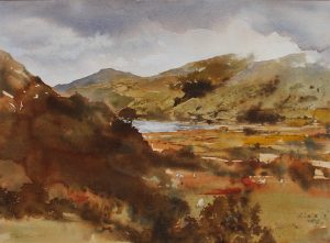 David Tress - Above Tal Y Llyn image