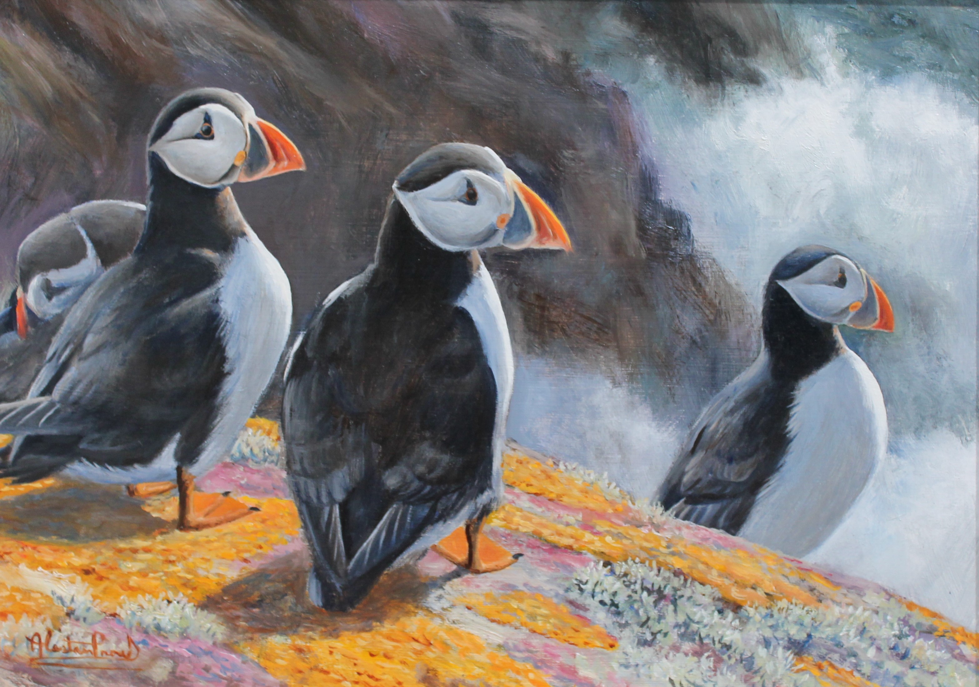 Alastair Proud - Puffins and Skokholm Colours