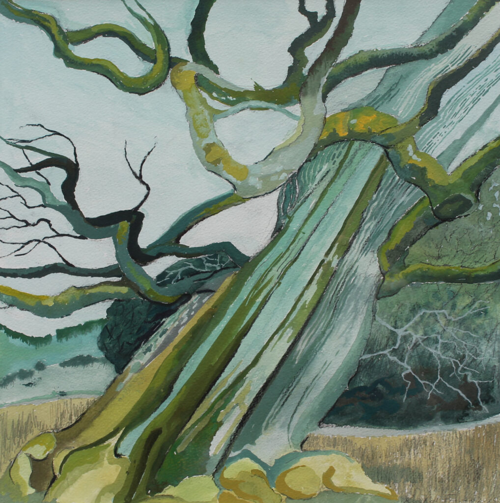 Rachel Fenner ‘Ancient Tree’ – Harbour Lights Gallery